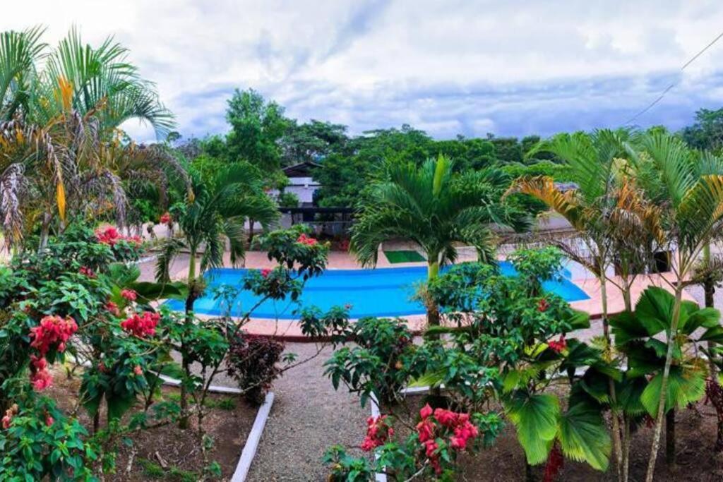 vista sulla piscina del resort di PARADISE LODGE a Tena