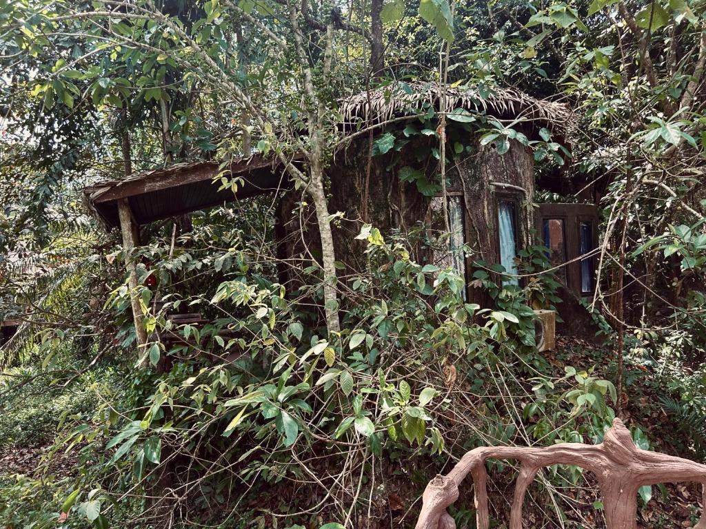 Khao Sok Paradise Resort - Bungalow With Garden View