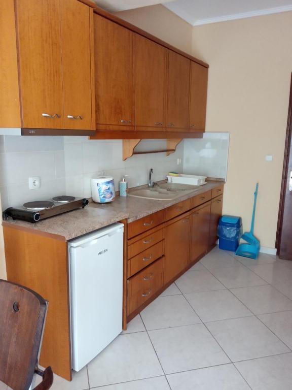 Kuchyň nebo kuchyňský kout v ubytování GOLDEN ROOMS