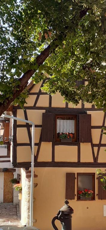 Coup de cœur en Alsace ! Proche Colmar et sur la route des Vins, Gîte de la Muse avec son jardin – photo 10