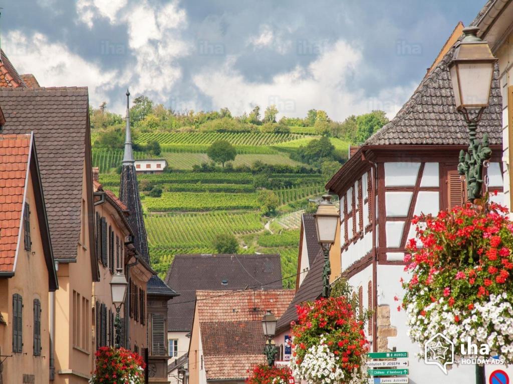 Coup de cœur en Alsace ! Proche Colmar et sur la route des Vins, Gîte de la Muse avec son jardin – photo 6