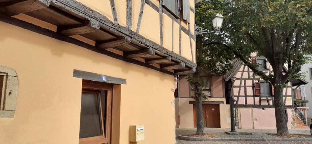 Coup de cœur en Alsace ! Proche Colmar et sur la route des Vins, Gîte de la Muse avec son jardin – photo 11