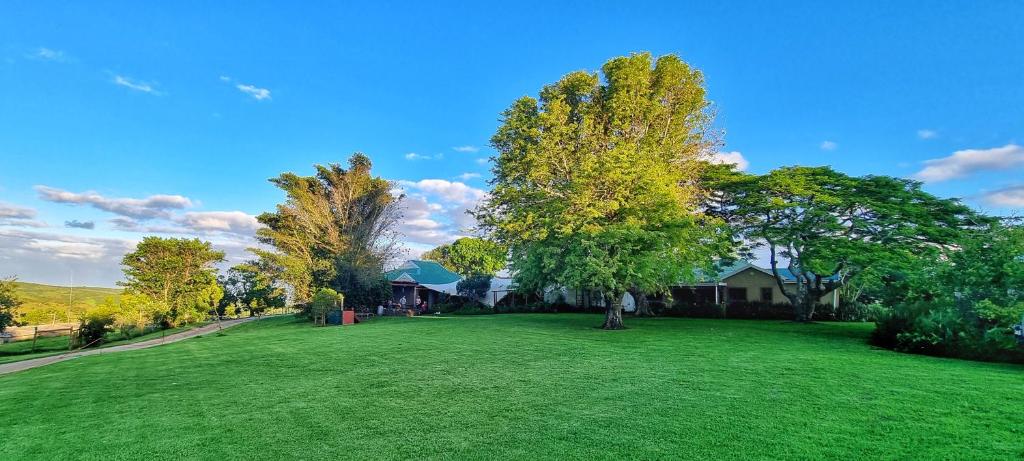 um grande pátio verde com árvores e casas em OppiePlaas Self Catering Country Cottage em Haga-Haga