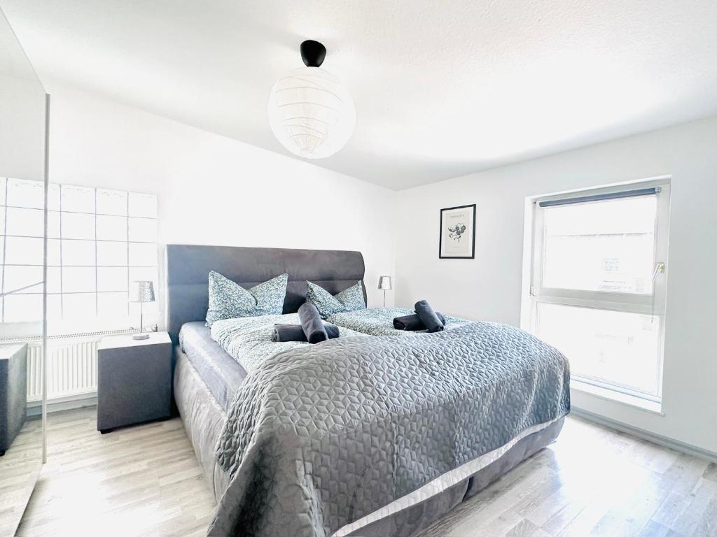 Saale, Marktplatz Zentrum, Apartmenthaus am Dom von Plant Room - Family Studio