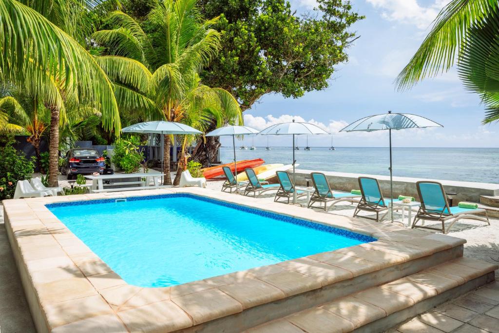 a swimming pool with chairs and umbrellas next to the ocean at Le Nautique Beachfront Apartments in Anse Royale