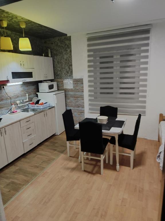 Kuršumlijska banja apartman 주방 또는 간이 주방