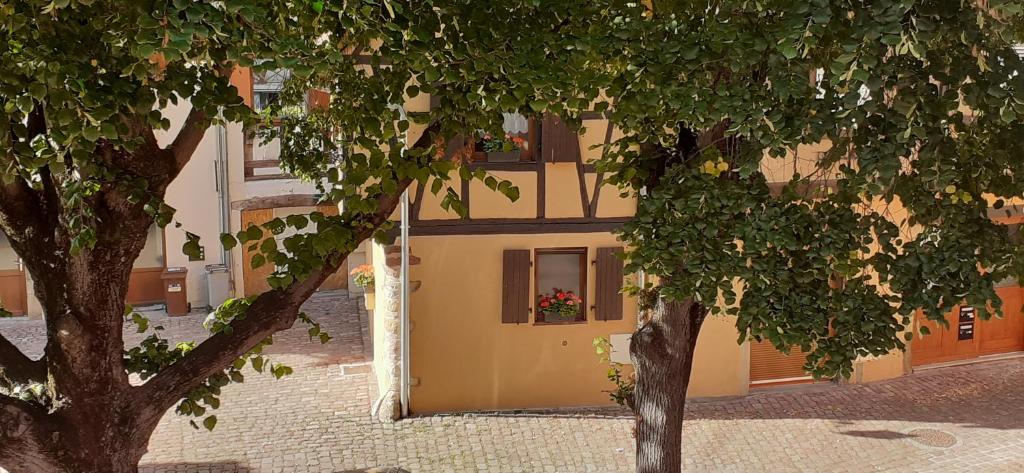 un bâtiment jaune avec une fenêtre et deux arbres dans l'établissement Gîte de la Muse, à Rouffach