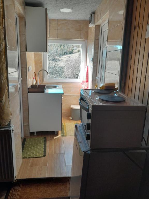 Kuhinja ili čajna kuhinja u objektu Grbic apartmani