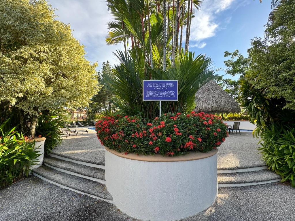 Zahrada ubytování Luxury Condo at Los Sueños Resort & Marina