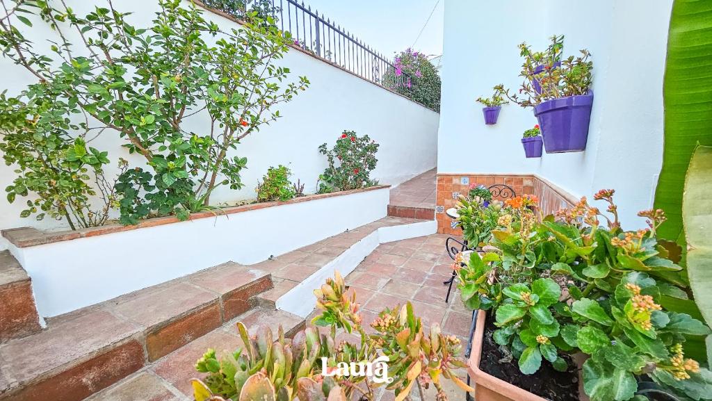 Zahrada ubytování Villa Laura