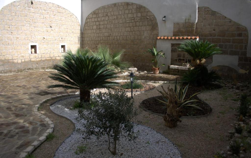 un cortile con alberi e piante in un edificio di La casetta a San Marco Evangelista