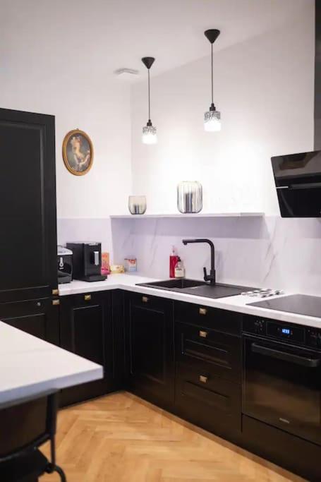 a kitchen with black cabinets and a sink at E Fauvette appartement de standing avec terrasse in Épernay