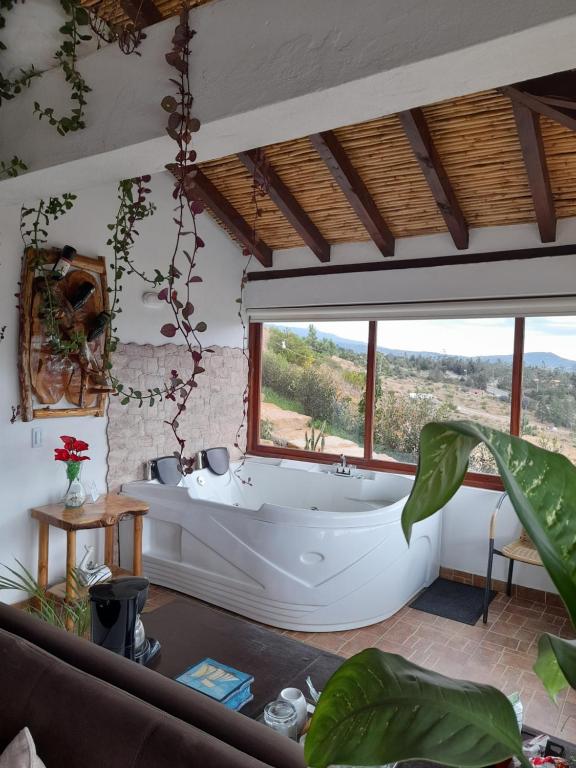 bañera en una habitación con ventana grande en Glamping con jacuzzi Mirador Jarana Villa de Leiva en Villa de Leyva
