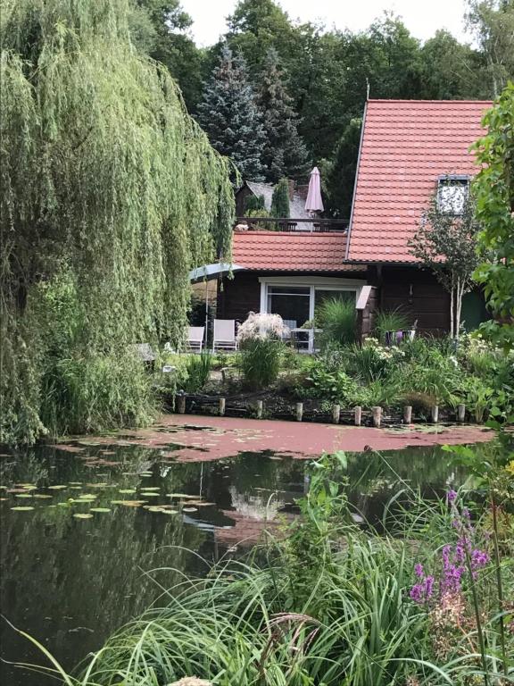 ein Haus mit einem Teich davor in der Unterkunft Ferienwohnungen direkt am Wasser in Burg