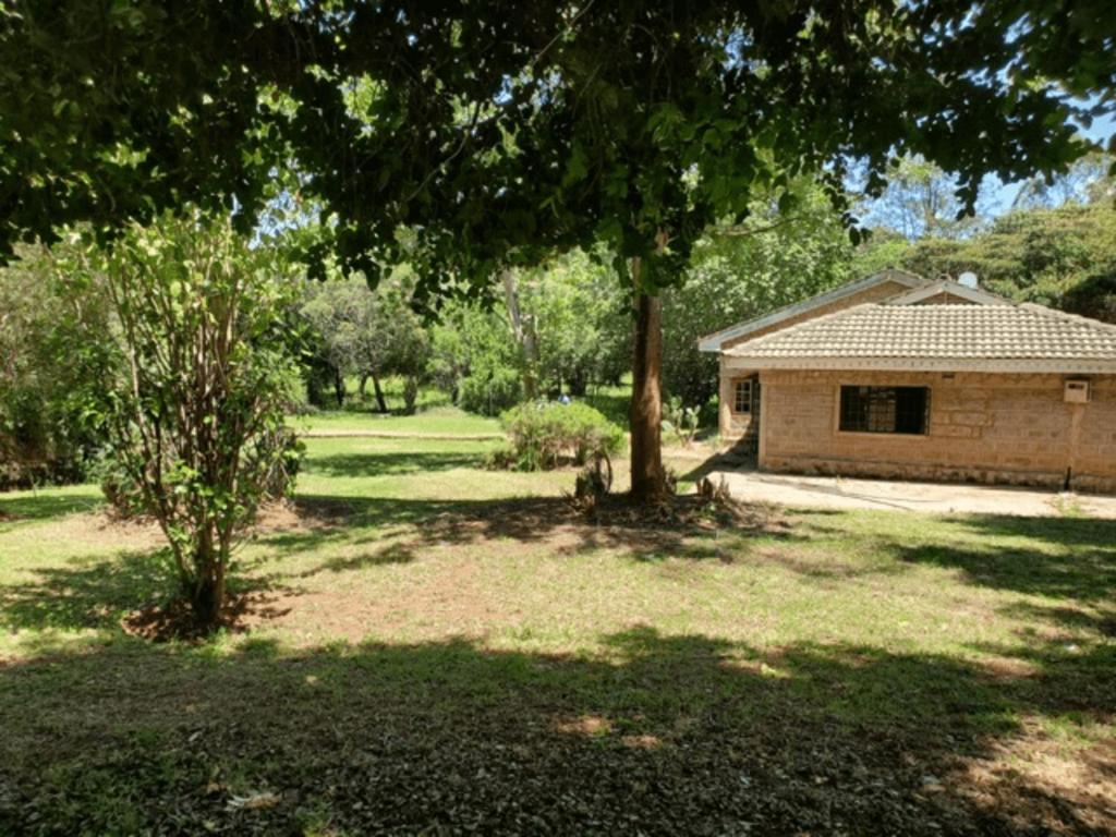 a yard with a house and a large tree at Luxury Retreat in Karen Suburb, Nairobi in Nairobi