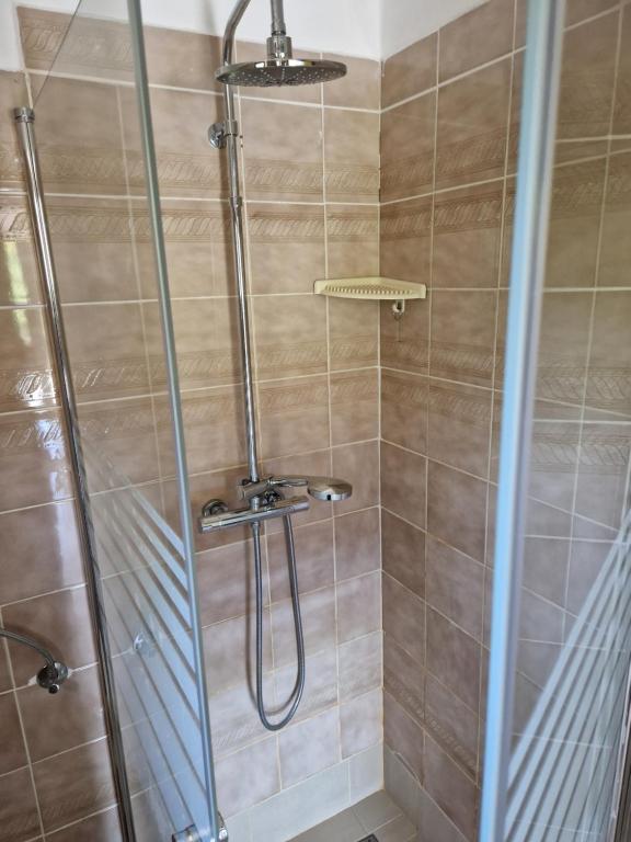 łazienka z prysznicem i szklanymi drzwiami w obiekcie Apartment Buric w mieście Županje
