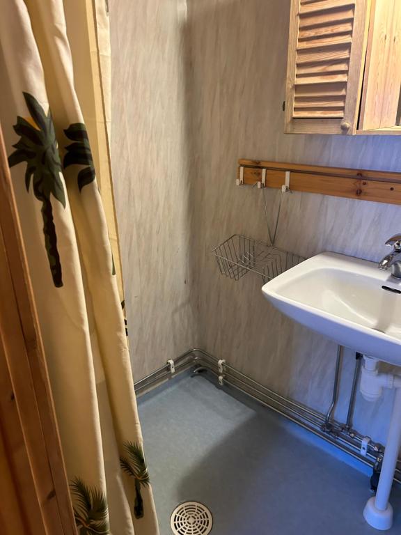 Baño con cortina de ducha junto a un lavabo en Bäckstugan, en Sälen