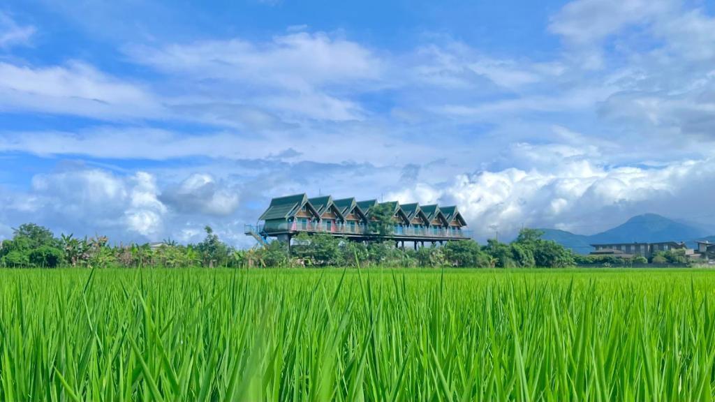 a house in the middle of a green rice field at Kitefarm in Dongshan