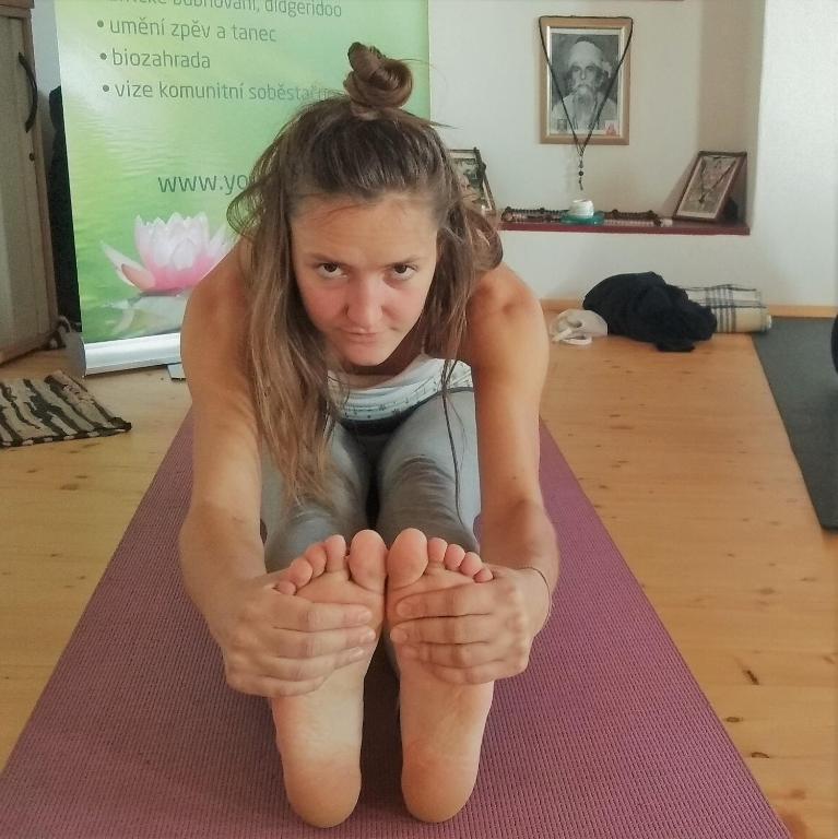 Hosté ubytování Yogashrama traditional