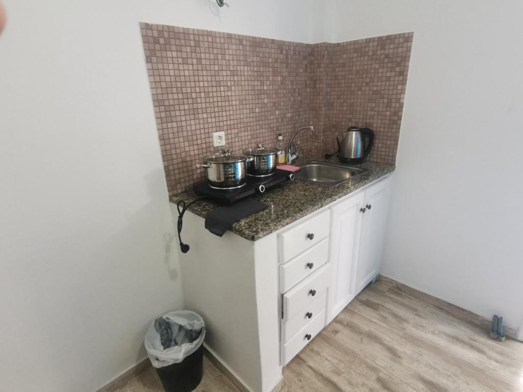 Kuchyň nebo kuchyňský kout v ubytování VILLA VASILIS ORNOS