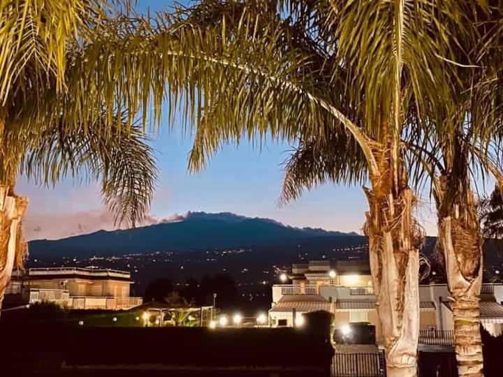 a view of a city from between two palm trees at DA ISINOE in Mascali