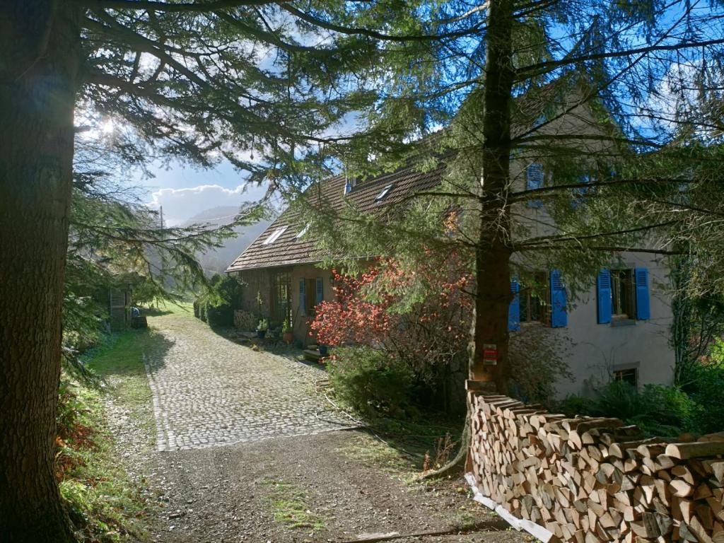ein Haus mit einem Baum neben einer Straße in der Unterkunft Charmant meublé classé 3 étoiles dans ferme du XIXe restaurée in Le Hohwald
