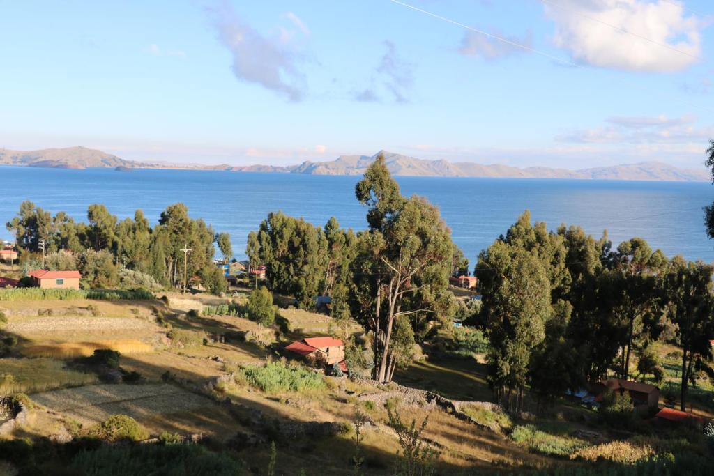 Blick auf den See vom Hügel aus in der Unterkunft BUNKBEDS Island Amantani in Ocosuyo