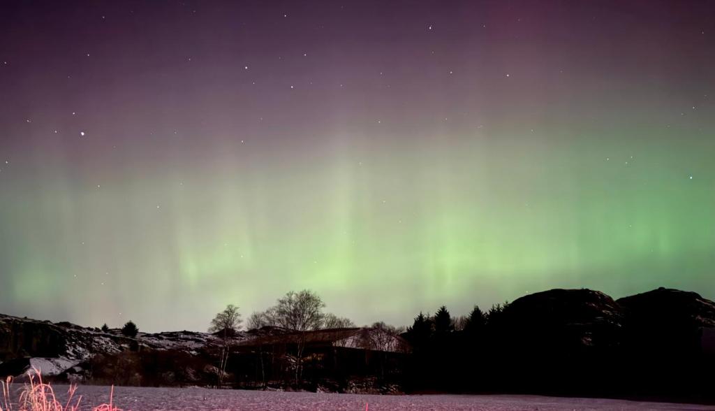 an aurora in the sky over a snowy field at house with a view in Vikeså