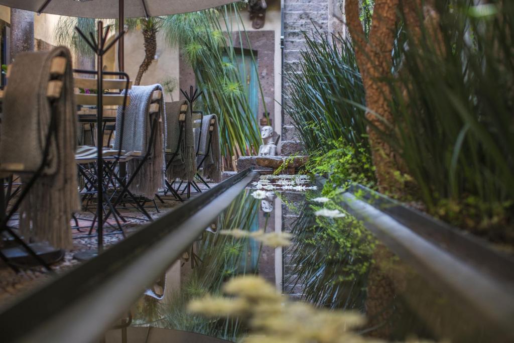 Fotografie z fotogalerie ubytování Casa No Name Small Luxury Hotel v destinaci San Miguel de Allende