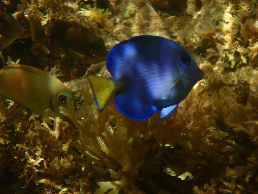  Pousada Kaluana