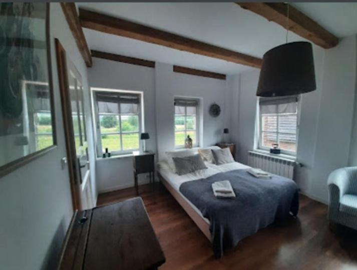 a bedroom with a large bed and two windows at Villa Steffi in Lubań