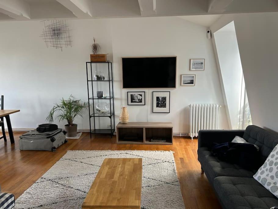 un salon avec un canapé et une télévision à écran plat dans l'établissement Appartement sur les toits de Paris vue Tour Eiffel 4 chambres, à Paris