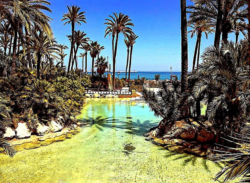 a pool of water with palm trees and the ocean at Santa Pola port, sea view in Santa Pola