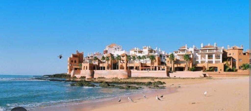 un grupo de edificios en una playa con aves en la arena en Magnifique appartement à Bouznika en Bouznika