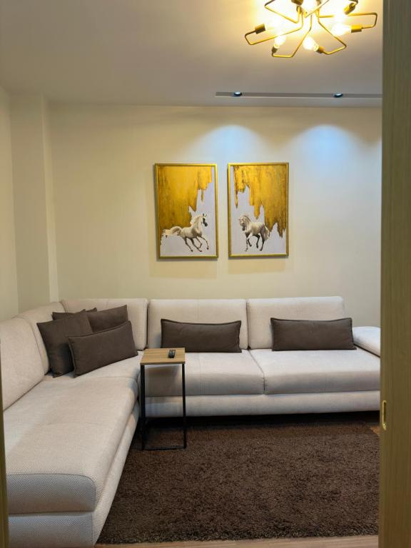 sala de estar con sofá y 2 pinturas en la pared en Dry Lake Apartment, en Tirana