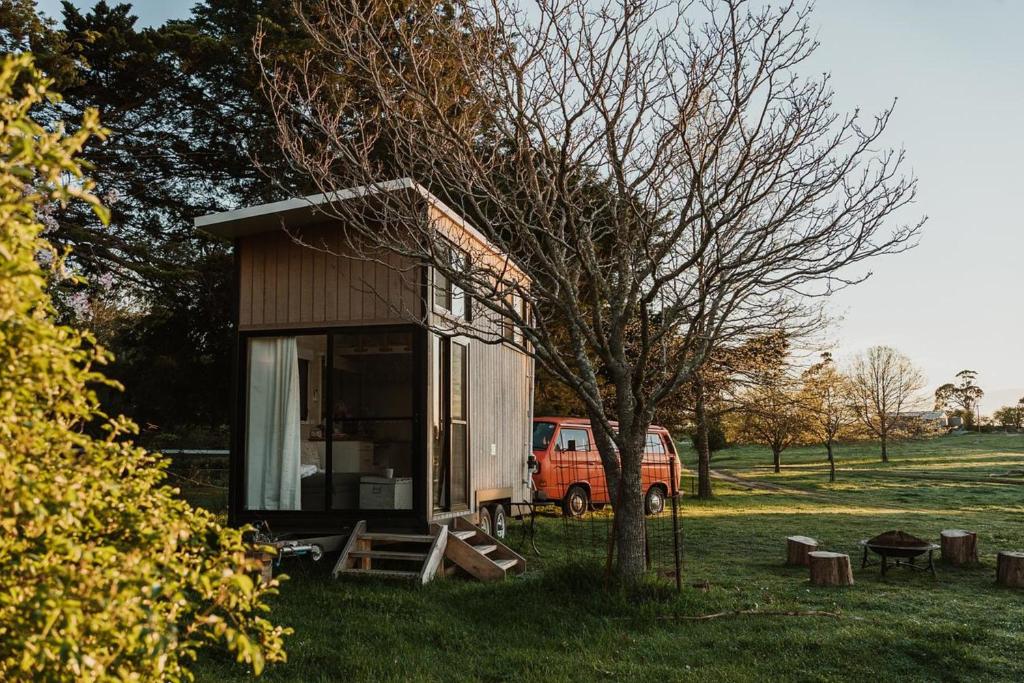 Braidwood的住宿－Bedervale Tiny，坐在树旁的草上的小房子