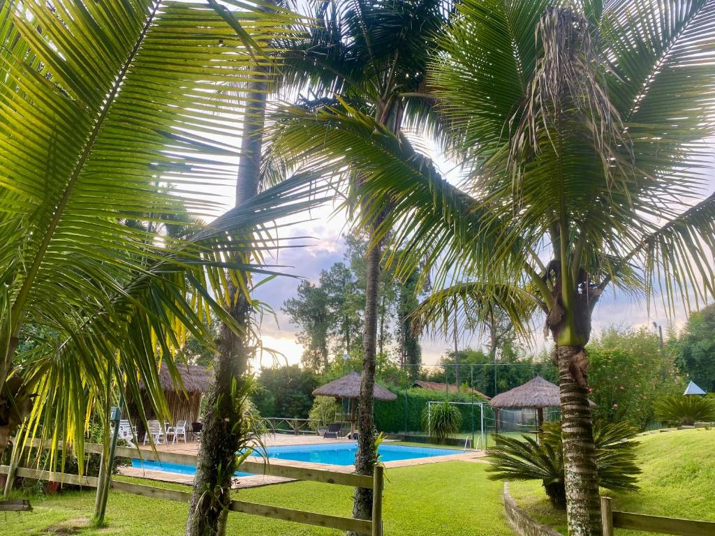 un grupo de palmeras cerca de una piscina en Sítio Santo António do Agudo en Bragança Paulista