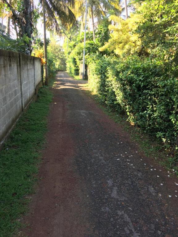 Bosadi Homestay - 11