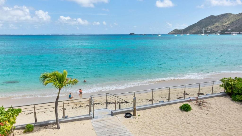 een uitzicht op een strand met een palmboom en de oceaan bij Official page "Residence Bleu Marine" - Sea View Apartments & Studios - Saint-Martin French Side in Grand Case