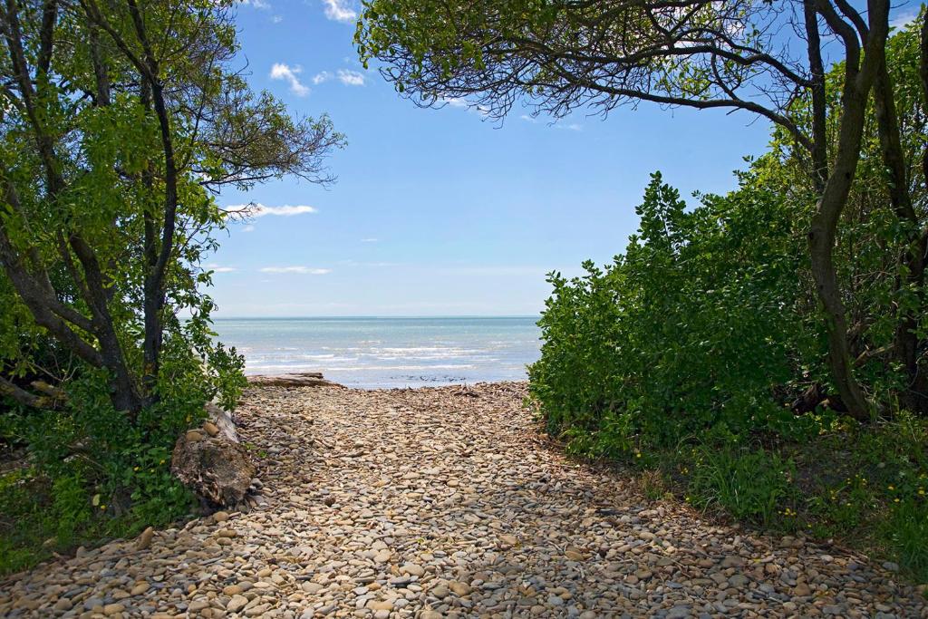 a gravel road leading to the ocean with trees at Kina Cottage in Tasman