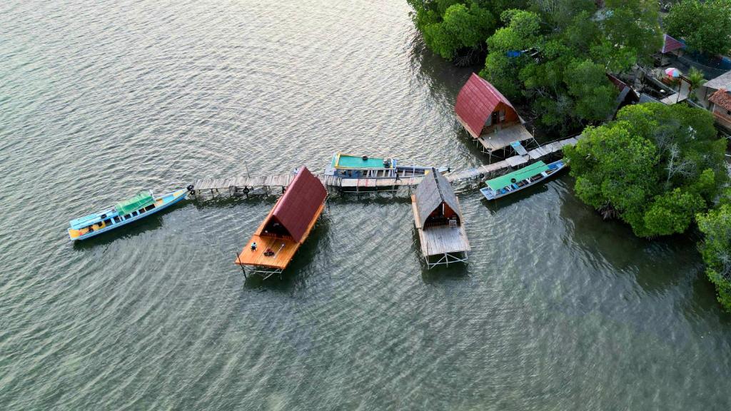 un groupe de bateaux dans une masse d'eau dans l'établissement Villa Mangrove Pulau Pahawang, à Lampung