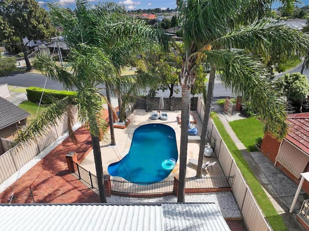 an overhead view of a swimming pool with palm trees at Evies White House Oasis I Pool & Close to Airport in Melbourne