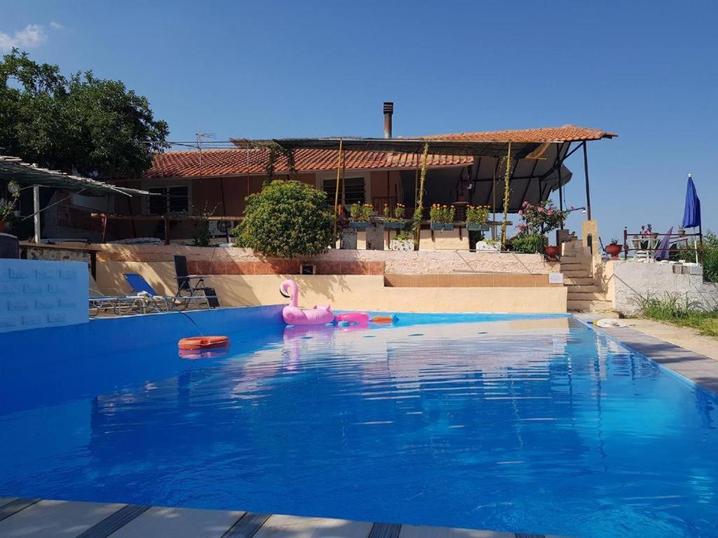una piscina con un juguete rosa en el agua en Farma Tsalta Olympus Larisa, en Pyrgetós