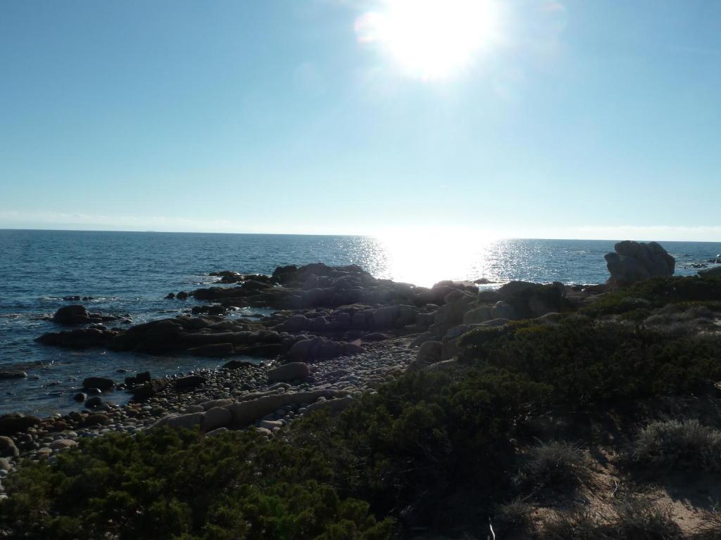 un littoral rocheux avec le soleil en arrière-plan dans l'établissement Petit Nid à Tarco Chez Catherine et Rémy, à Conca