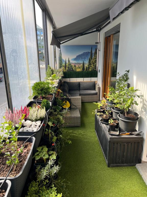 a balcony with a lot of potted plants at Green terrace aircondition downtown metro C Budějovická in Prague