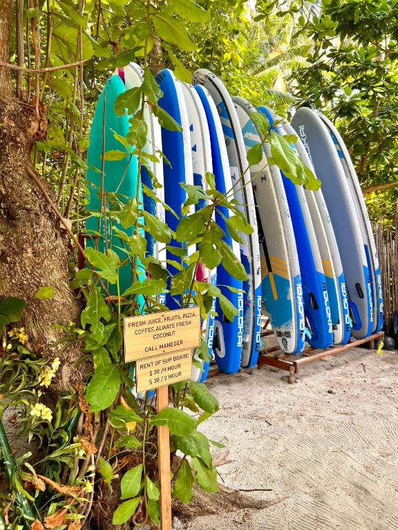 Fotografie z fotogalerie ubytování Balma Beach Inn v destinaci Faafu