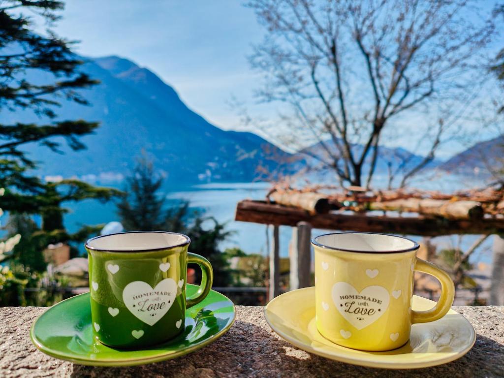La Castignola con vista lago di Lugano e giardino condiviso