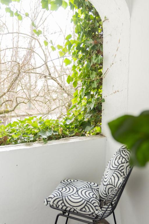 Gästehaus Englischer Garten - Resim 33