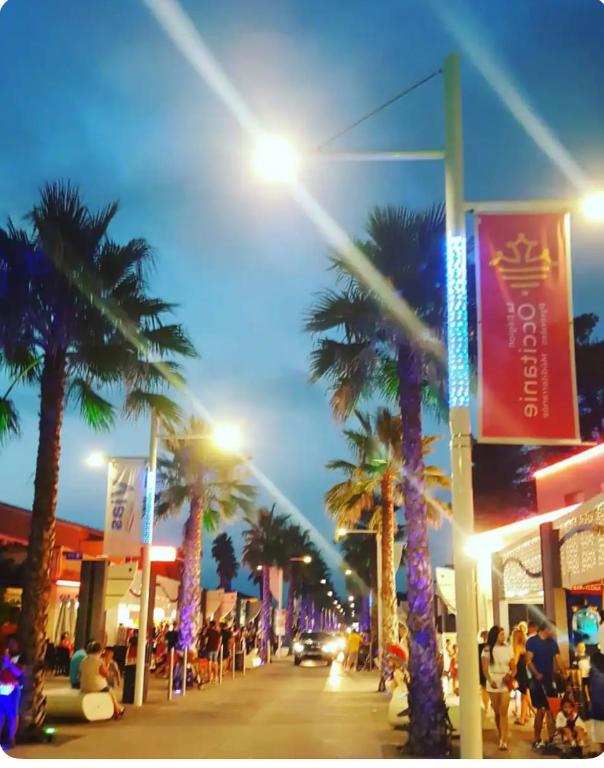 une rue de la ville avec des palmiers et un éclairage de rue dans l'établissement Maison de vacances vias plage, à Vias