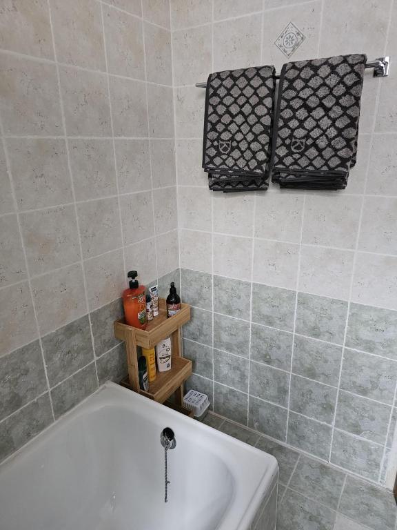 Vannituba majutusasutuses Apartment Ad Alta Millstatt